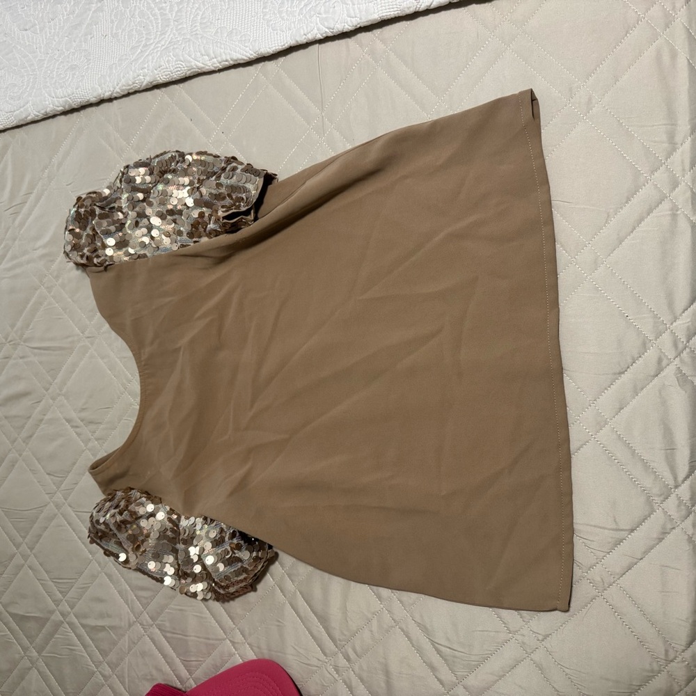 Brown Top with Sequin Sleeves